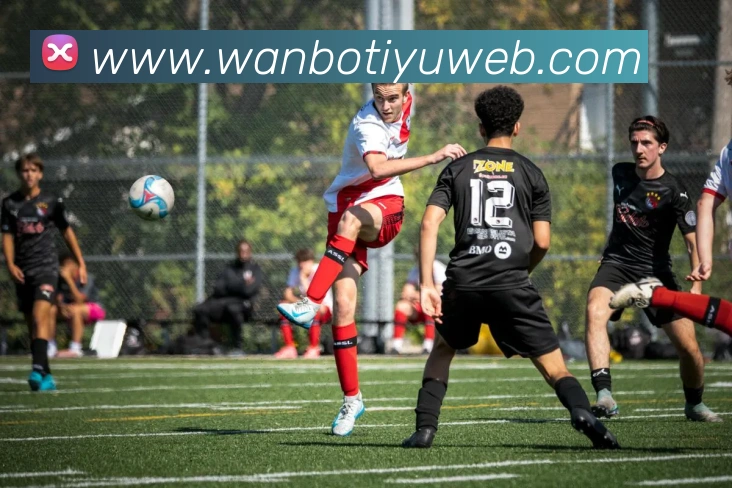 万博体育APP 封面图